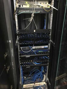 專業計算機技術，承接各類網絡工程項目